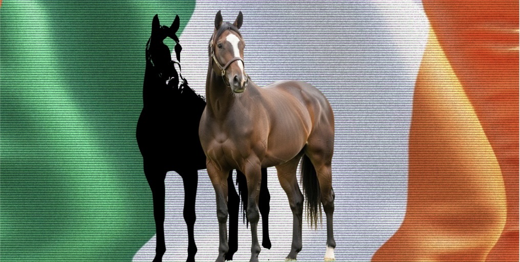 Ireland’s most notorious horse theft: Shergar backgrounder