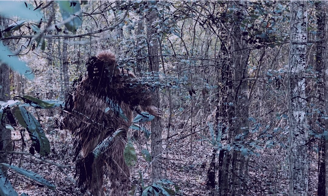 Between the Pines: The Autobiography of Bigfoot