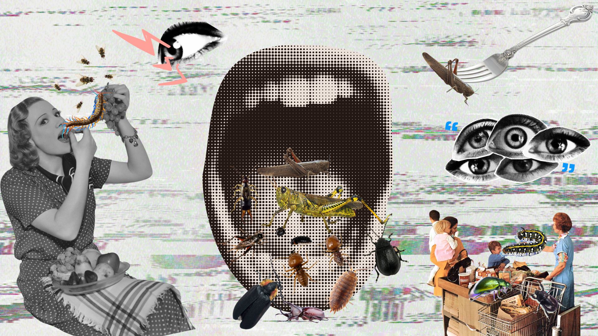 Crunch Time: The Buggy Truth About What’s Really In Our Food