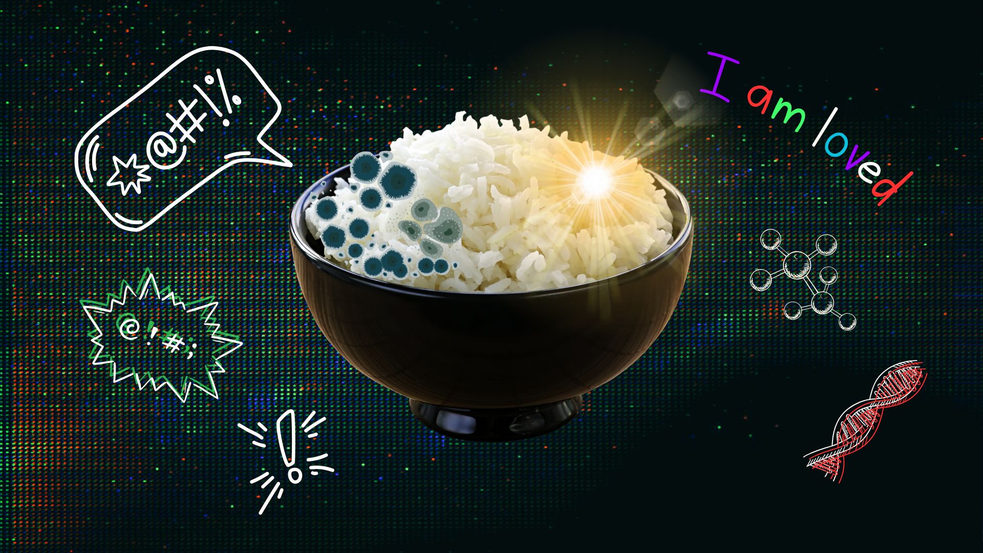 Rice Rice Baby: The Rice Experiment That Can Manifest Mould and Preserve Joy