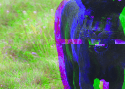 Big Cats in the Countryside: Fable, Fiction, or Frightening Reality?