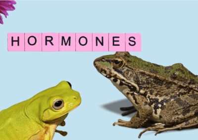 Hormones in the Water Is Making Frogs Gay?